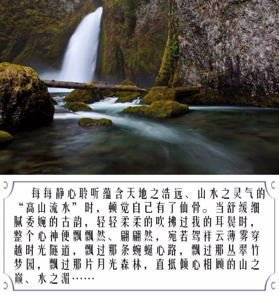 神龙现身,来豫园叠龙年好运Buff