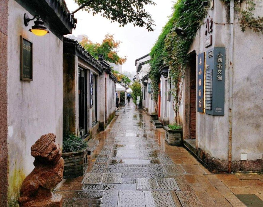 阴暗森林